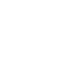 Sidorenko Boxing