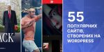 55 WordPress